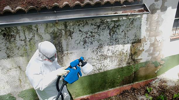 Top rated local Bathroom Mold Removal specialists in Missouri City, TX